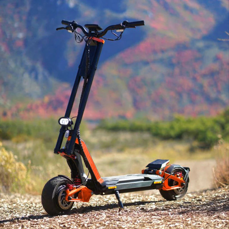 INMOTION RS LITE