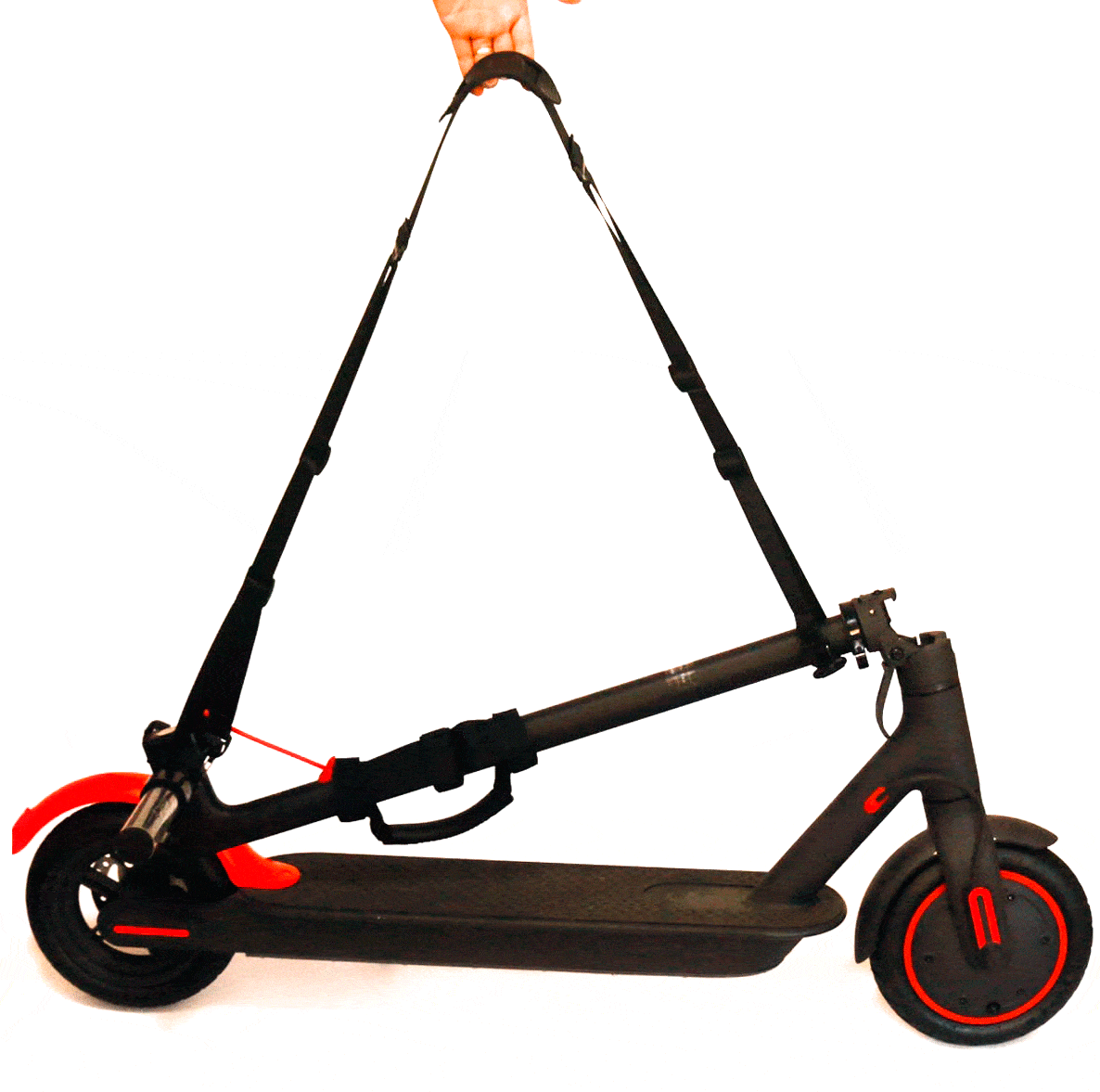 Fita de transporte