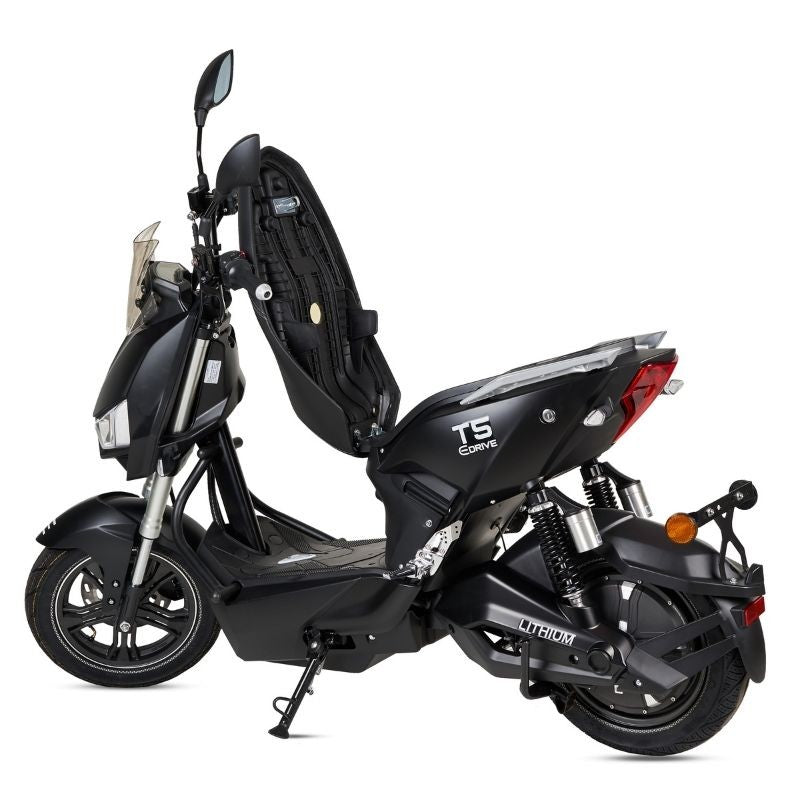 Ecoxtrem 1500W - T5
