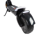 Dualtron Dolphin NFC