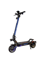 Dualtron Victor Limited EY4