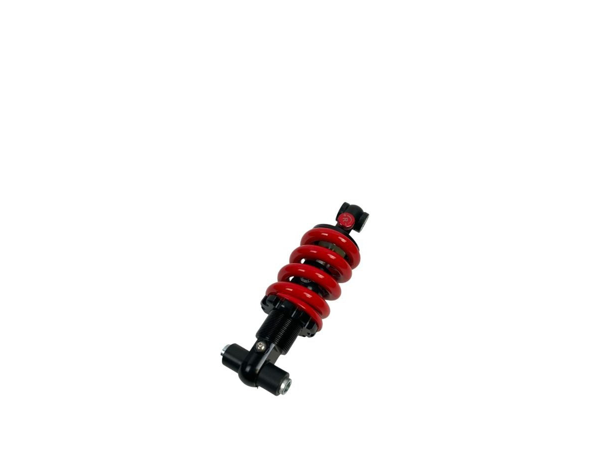 Suspensão (dianteira e traseira) para Inmotion RS